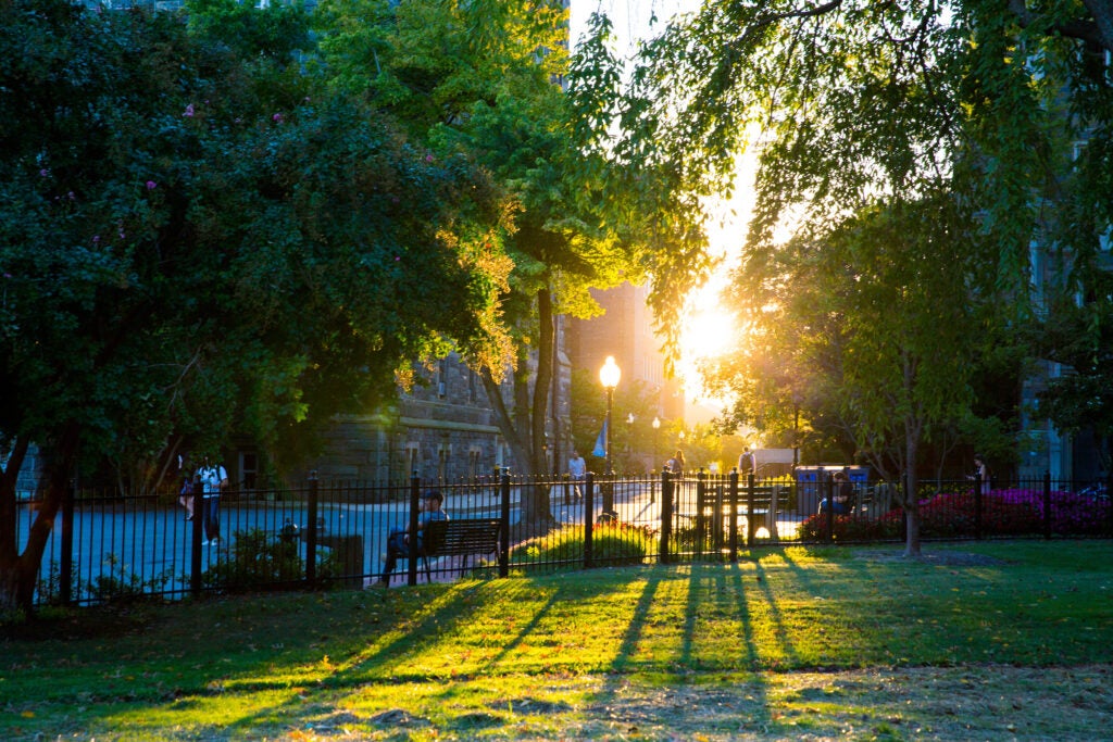 The sunsetting over Healy Lawn